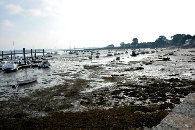 min 2016 10 14 morbihan 100